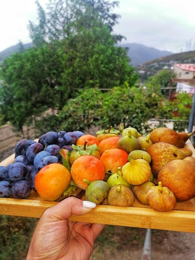 Elegaya Guest House Іджеван Екстер'єр фото